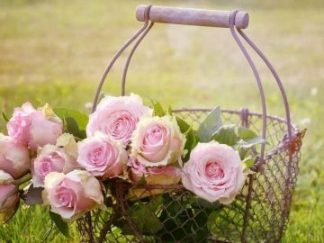 Розы в корзинке