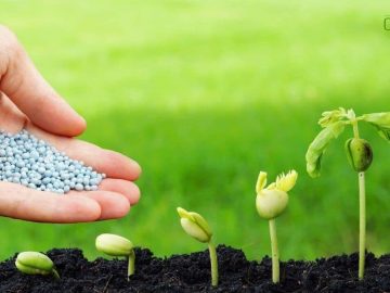 Удобрения для дачи