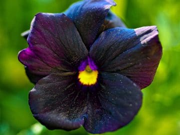 5799212438_b1caec241a_b