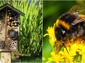 глав 29062018 глав