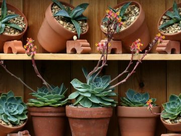 imgonline-com-ua-Resize-s4NBptf2G86H 27062018 imgonline-com-ua-Resize-s4NBptf2G86H