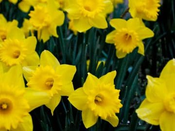 surfing-1990339_1280