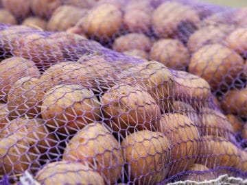 1532087645-0prbp (1)