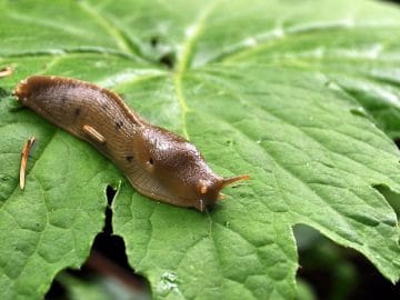 3801487654_2f5961d89b_b