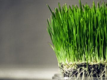 5539230020_fde032ef92_b