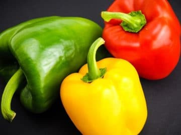 aphids-3335308_960_720