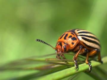 bath-oil-2510783_1280