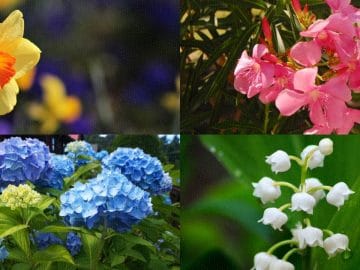 BeFunky-collage (1) 13072018 BeFunky-collage (1)