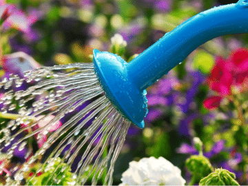 полив в саду 03072018 полив в саду