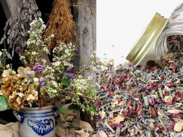 cover 04072018 cover