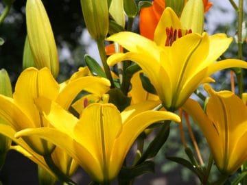 DhPx66vUEAEMbhi 05072018 DhPx66vUEAEMbhi