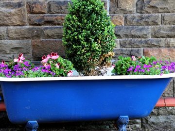 imgonline-com-ua-Resize-0n8kXUVyBrbuL 05072018 imgonline-com-ua-Resize-0n8kXUVyBrbuL