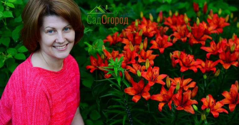 Woman near flower bed with orange lilies