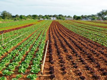 imgonline-com-ua-Resize-3K6Ep1RWxW76I