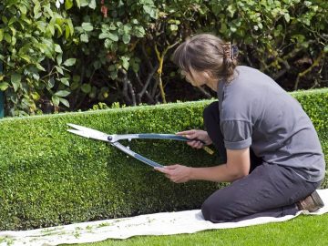 imgonline-com-ua-Resize-3liFgcVufd4wSMg