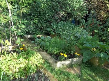 imgonline-com-ua-Resize-4abKruYxVwqaLG8