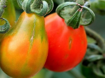 imgonline-com-ua-Resize-4x7onzcVHcsRr