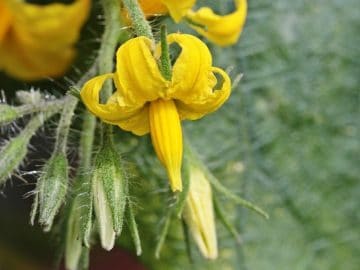 imgonline-com-ua-Resize-aEu56zVRbgwGAI