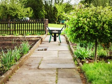 imgonline-com-ua-Resize-AZXAfWHEwaQHSj