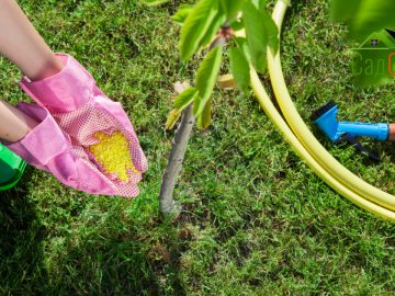 imgonline-com-ua-Resize-CRDcb9sLmssG9