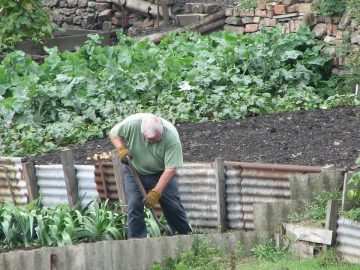 imgonline-com-ua-Resize-eqnS7NgFo1tjtC