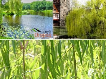 imgonline-com-ua-Resize-FeTCJttvcHpsOQCT