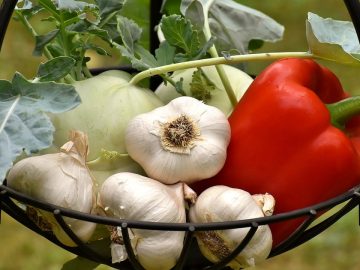 imgonline-com-ua-Resize-G3QlMyxGVuFDE3Y8