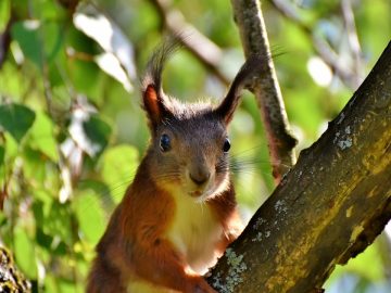 imgonline-com-ua-Resize-GBjixYJxoC 03072018 imgonline-com-ua-Resize-GBjixYJxoC