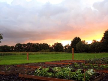 imgonline-com-ua-Resize-htFLViFlyTbV09