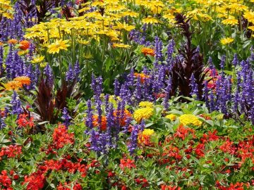 imgonline-com-ua-Resize-IwlJLBAL9kpaTjIN