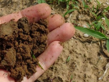 imgonline-com-ua-Resize-jF6TJpysUSzD