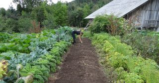 3 общие ошибки начинающих садоводов-огородников при планировании своей деятельности