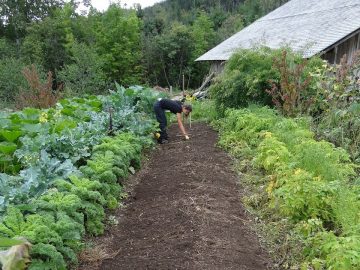 imgonline-com-ua-Resize-Ka1DdLJiji