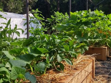 imgonline-com-ua-Resize-KmOKEFaNfVK2