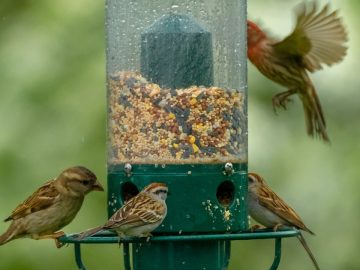 imgonline-com-ua-Resize-M58bbIo7ASA 03072018 imgonline-com-ua-Resize-M58bbIo7ASA