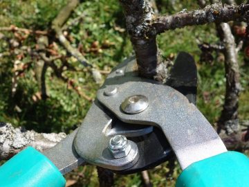 imgonline-com-ua-Resize-me6Tu5uSJSq