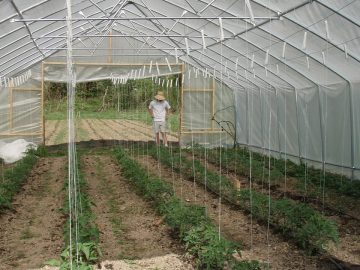 imgonline-com-ua-Resize-MpUldt2OBjNLN