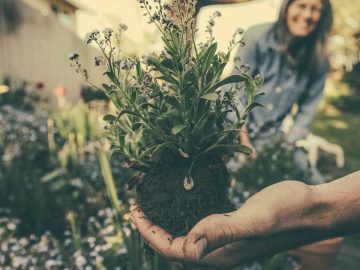 imgonline-com-ua-Resize-nmrEKblovk002ZV 02072018 imgonline-com-ua-Resize-nmrEKblovk002ZV