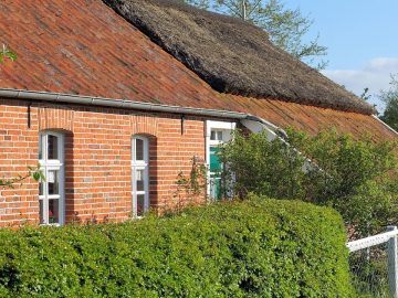 imgonline-com-ua-Resize-OGRkVNvOX6