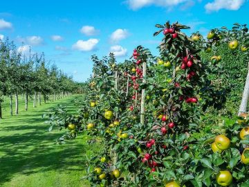 imgonline-com-ua-Resize-q6n5H3cVhPQ