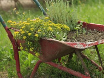 imgonline-com-ua-Resize-QUxrNu4q9epD9