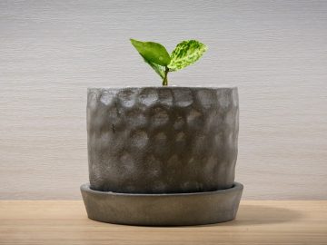 imgonline-com-ua-Resize-r2ItnnDtwp