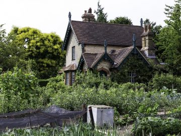 imgonline-com-ua-Resize-RbhJXw9seW5UJ2HN 03072018 imgonline-com-ua-Resize-RbhJXw9seW5UJ2HN