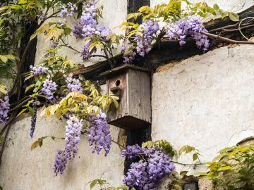 imgonline-com-ua-Resize-rddEPvjfp7ml