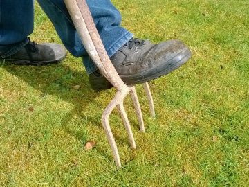 imgonline-com-ua-Resize-SiOy0D3lxGgMF8u3