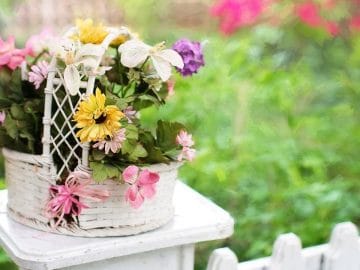 imgonline-com-ua-Resize-tWMlukeUTnua 01072018 imgonline-com-ua-Resize-tWMlukeUTnua