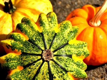 imgonline-com-ua-Resize-U7lPG0cOQOpApV3V