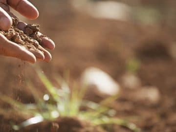 imgonline-com-ua-Resize-ULhhj4ppbTPAdw