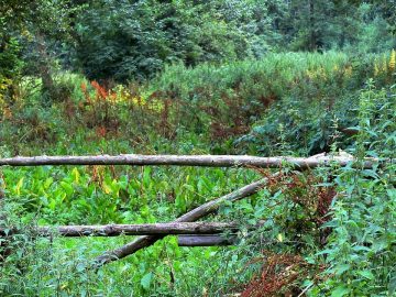 imgonline-com-ua-Resize-uPSLCHMJQKqcqUV