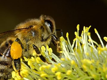 imgonline-com-ua-Resize-v4aqeIu3A9